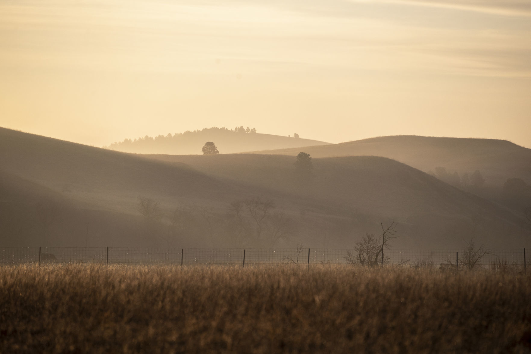 Custer State Park